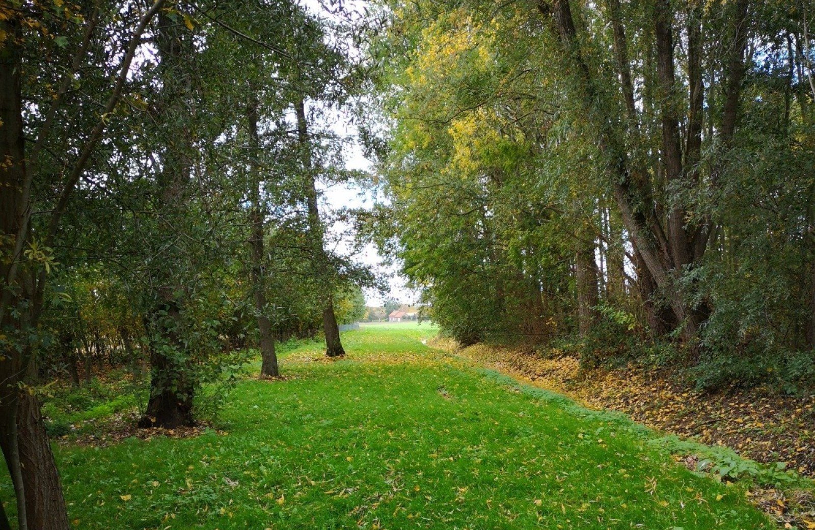 Hondenuitlaatplaats geelenhoof