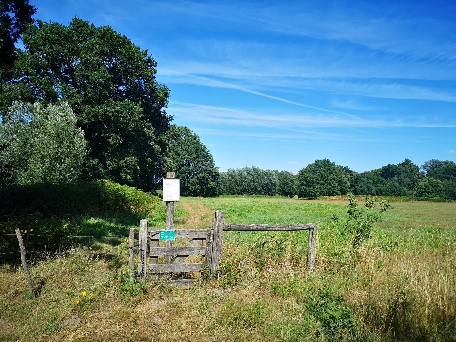 Natuugebied in Limburg
